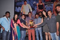 Chandi Platinum Disc Function